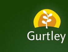 Gurtley